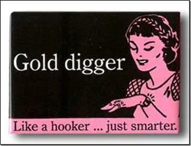 gold digger like a hooker just smarter